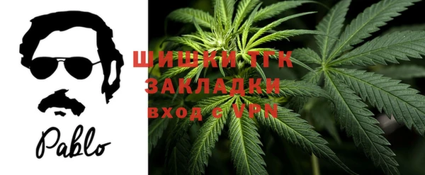 шишки Дмитров